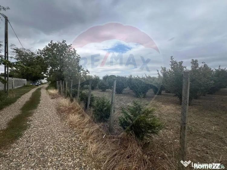 Teren de 1300 mp, în Câmpineanca