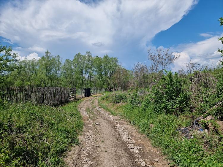 Teren Construcții intravilan de 1809 mp, în Moțăieni
