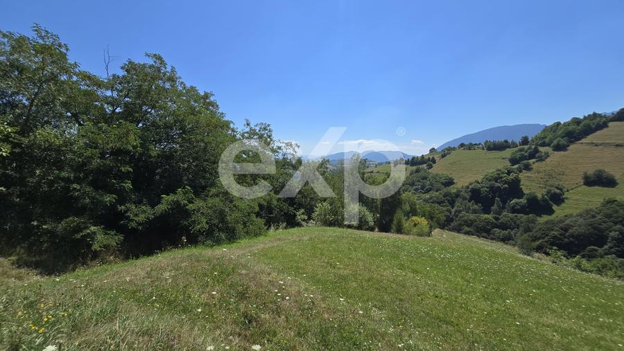 Teren agricol extravilan de 3757 mp, în Poiana Mărului