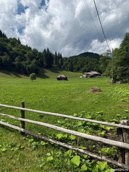 Teren de 6800 mp, în Rucăr