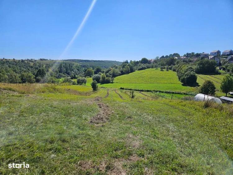 Teren de 2915 mp, în Feleacu