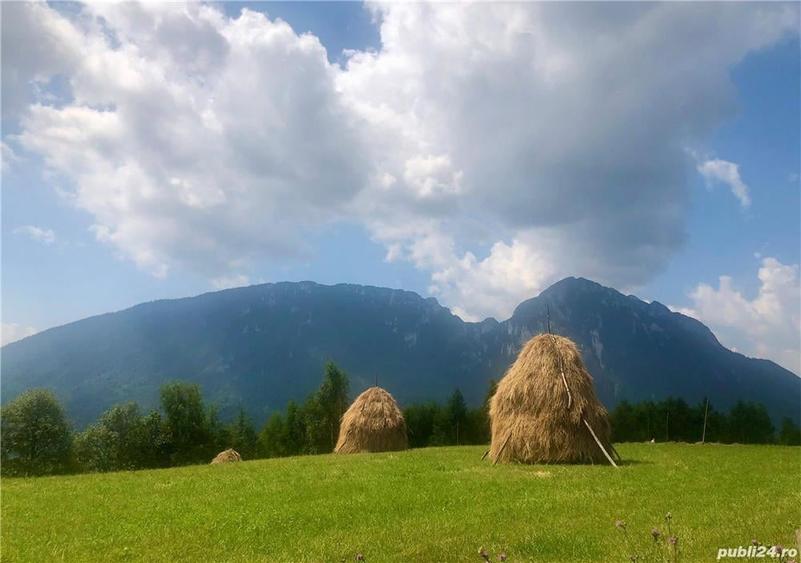 Spațiu comercial, de 1,500 mp, în Poiana Mărului