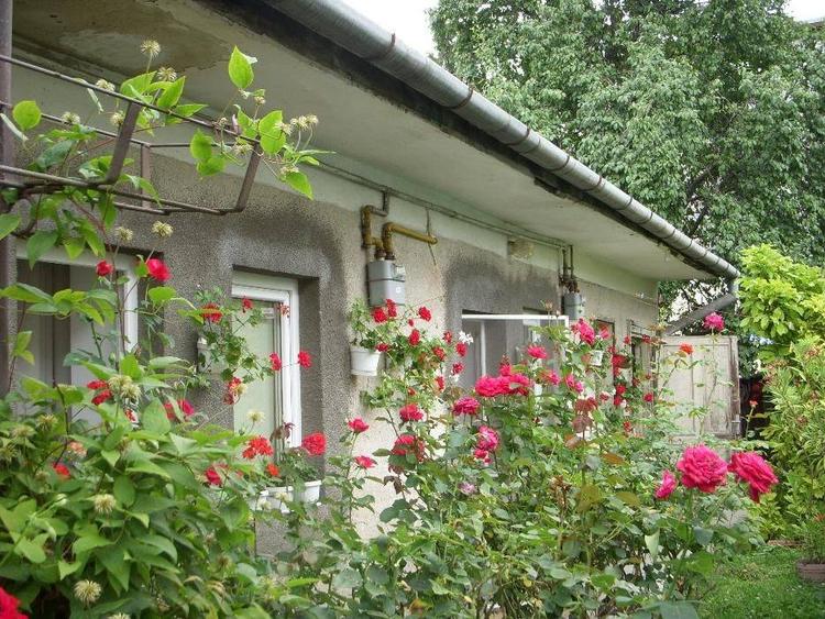 Casă cu 4 camere cu Teren 417 Mp în Central