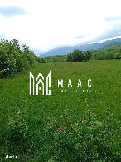 Teren de 2000 mp, în Turnu Roșu