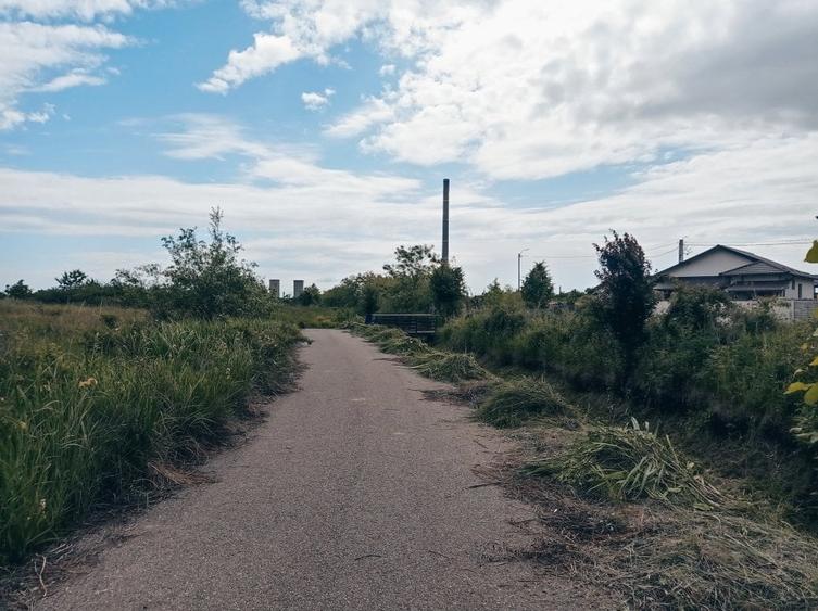 Teren agricol intravilan de 1193 mp, în Bradu