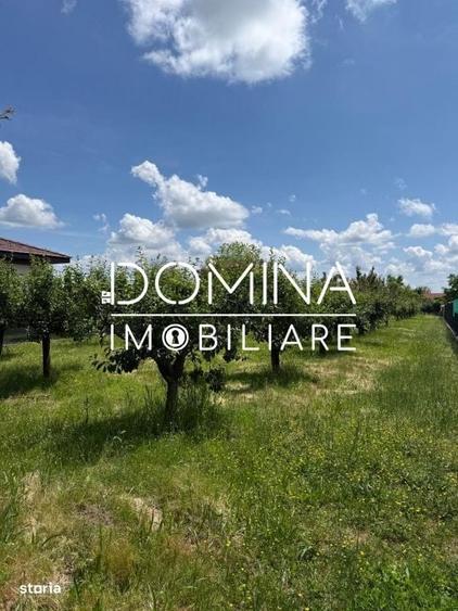 Spațiu comercial, în Preajba Mare