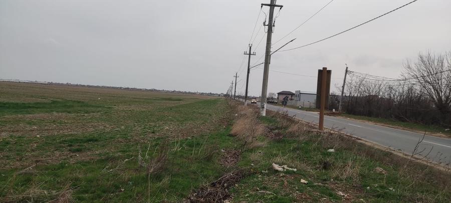 Teren Construcții intravilan de 5000 mp, în Tânganu
