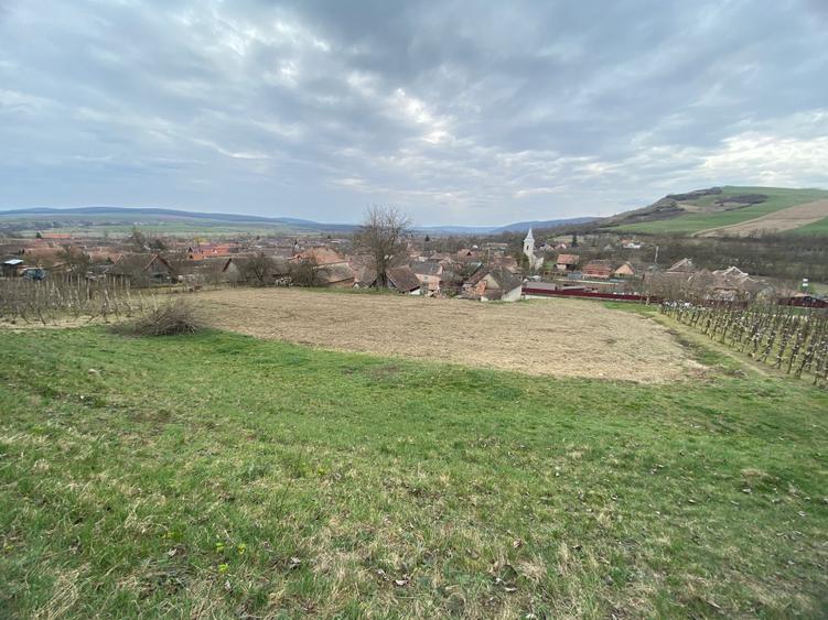 Casă cu 3 camere în Adămuș
