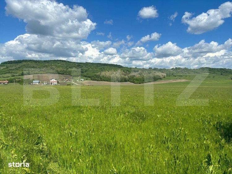 Spațiu comercial, în Șintereag