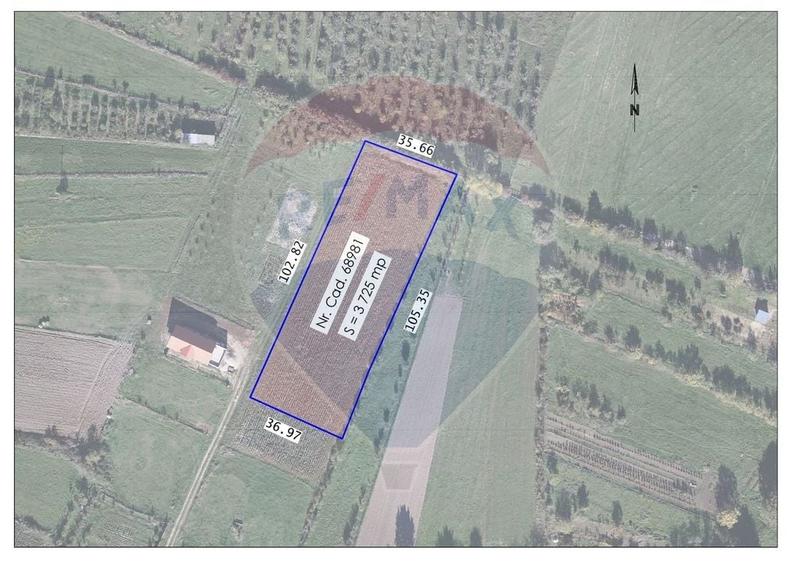 Teren Construcții intravilan de 3725 mp, în Cordău