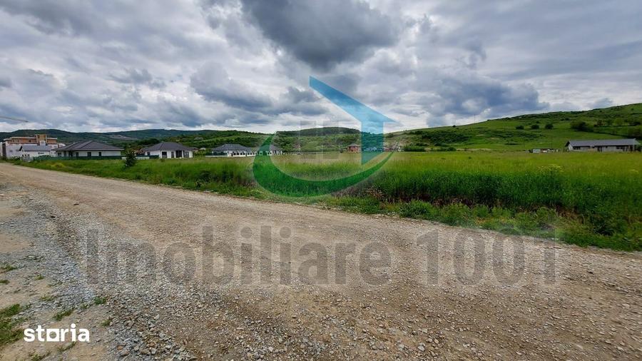 Repozitionare pret oferta: Teren intravilan 6214 mp, Zavoaie, Bistrita - 3