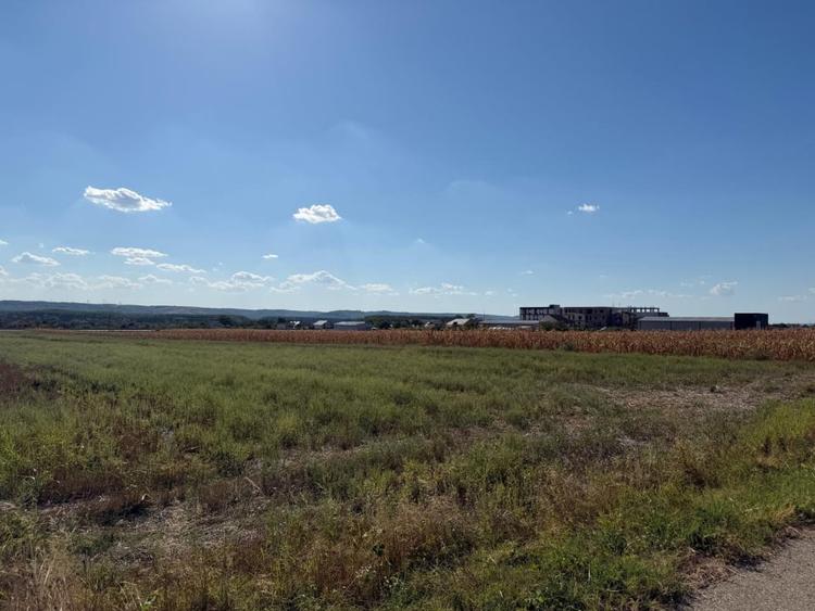 Teren Construcții de 5000 mp, în Brădești