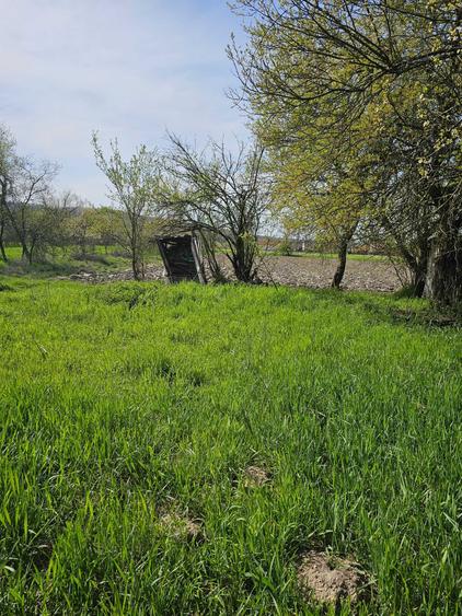 Casă cu 2 camere în Exterior Vest