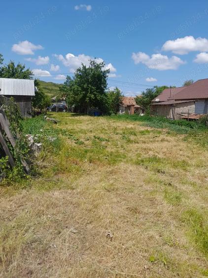 Teren de 2300 mp, în Borșa