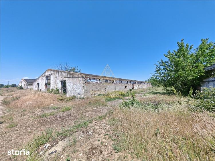Teren de 58664 mp, în Vadu Pașii