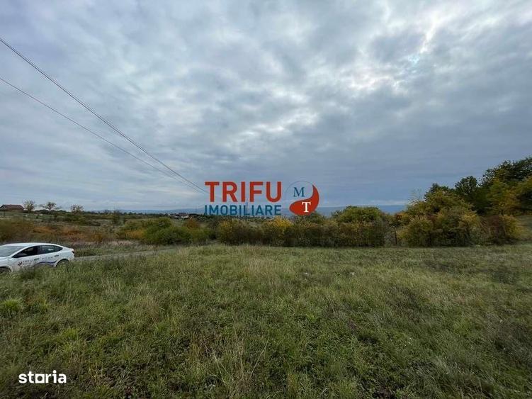 Spațiu comercial, în Cetate