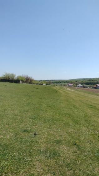 Teren Construcții extravilan de 7200 mp, în Grajduri