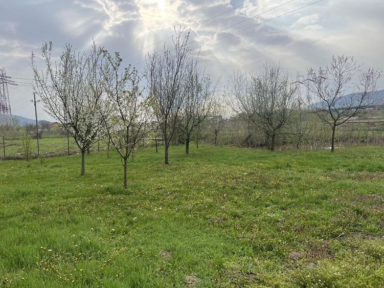Casă în Central