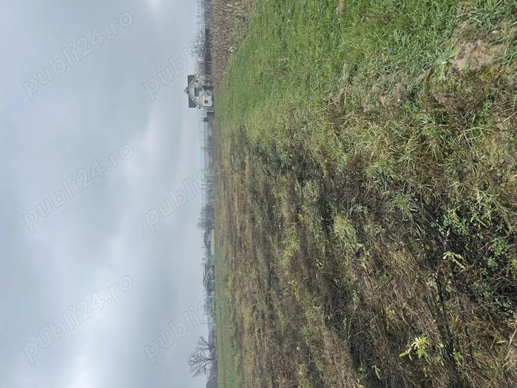 Teren de 2600 mp, în Alparea