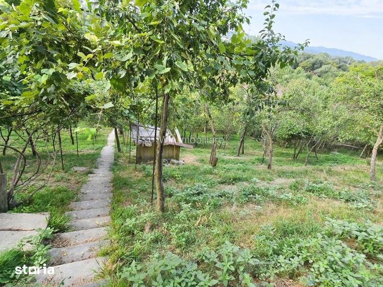Teren intravilan 1600mp | Front 26m | Grigorescu | Zona strazii Donath
