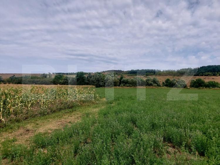 Teren agricol intravilan de 27500 mp, în Răscruci