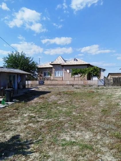 Casă cu Teren 5024 Mp în Nufăru
