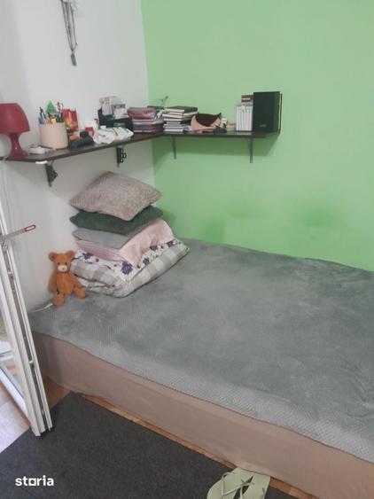dristor baba novac 7 min metrou pet friendly - 8