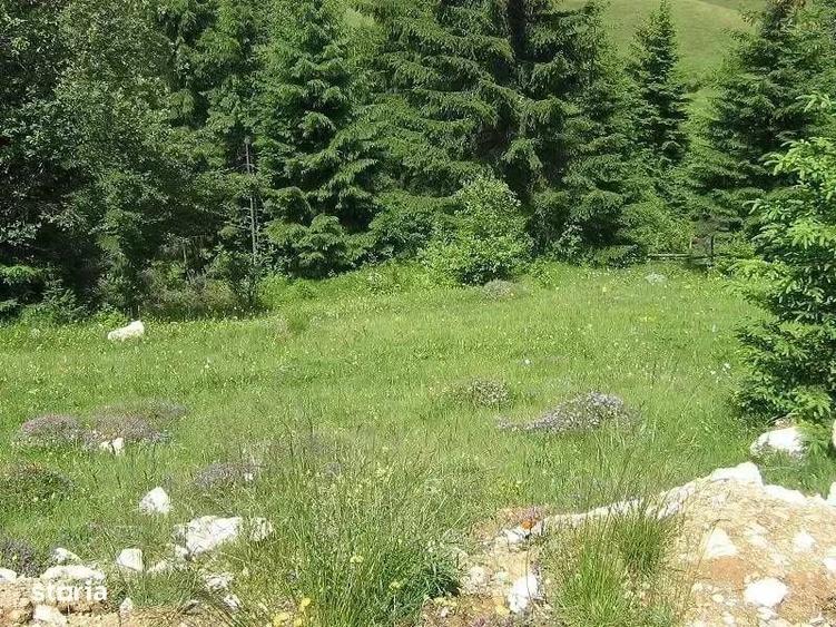 Teren Intravilan De Vanzare | Comuna Fundata | Fundatica | Brasov - 4
