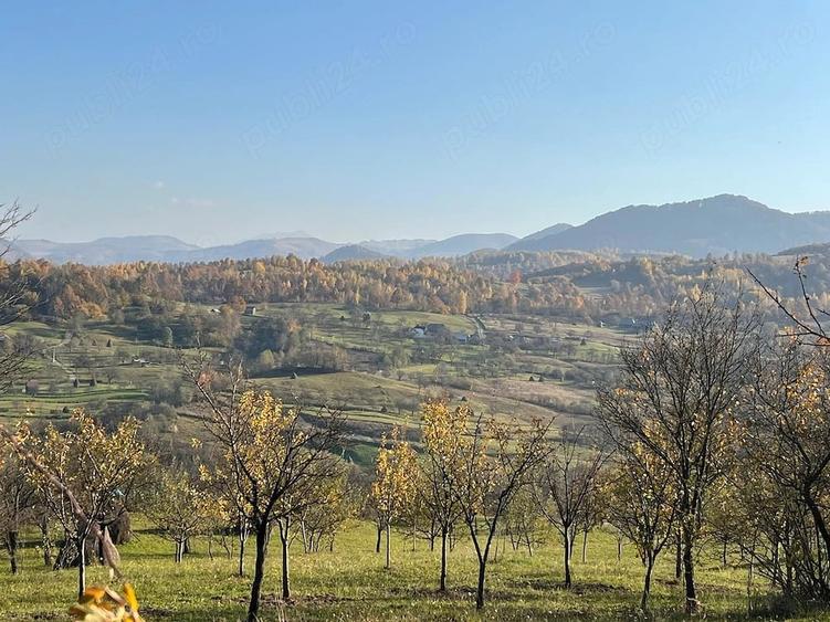 Casă cu Teren 5000 Mp în Poienile Izei