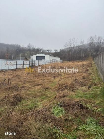 Teren 1758 mp DN7 - Prislopu Mare, Draganu! - 5