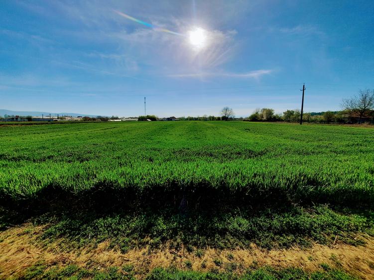 Teren agricol extravilan de 4923 mp, în Sântuhalm