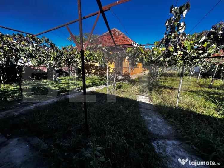 Doua casa de vanzare, teren intravilan 1773 mp, zona Stoloja - 5
