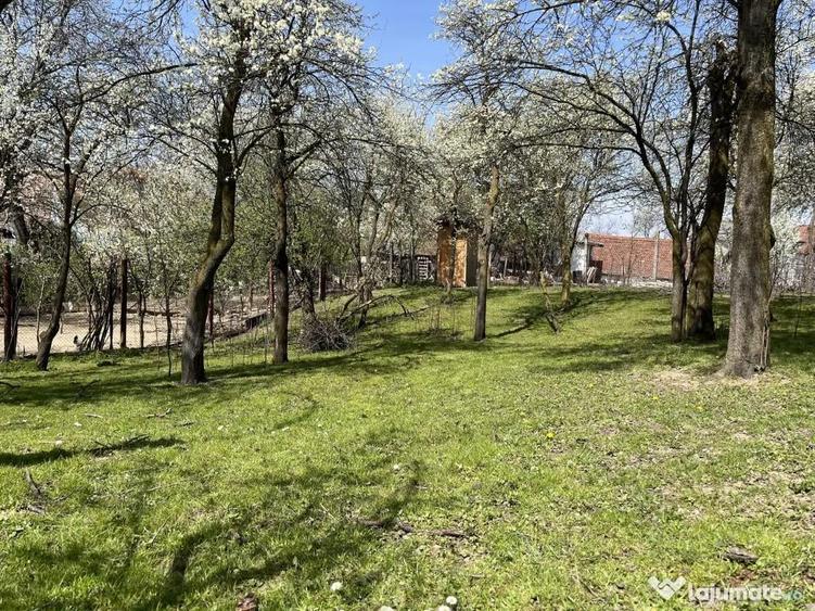Teren de 989 mp, în Poplaca