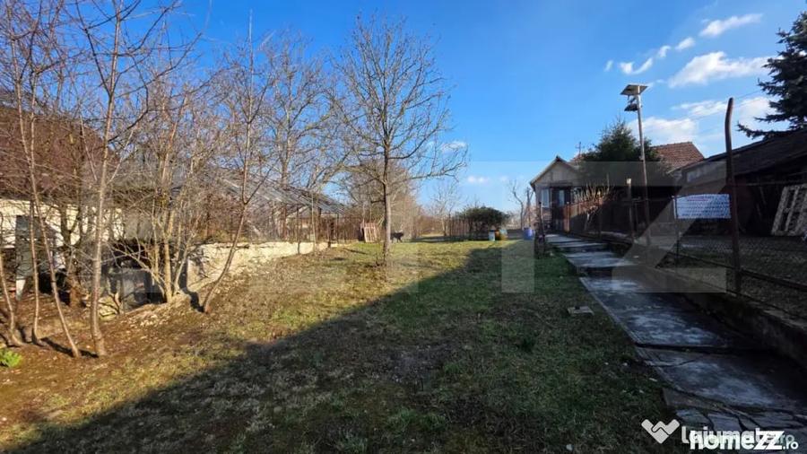 Casă cu 3 camere cu Teren 3000 Mp în Central