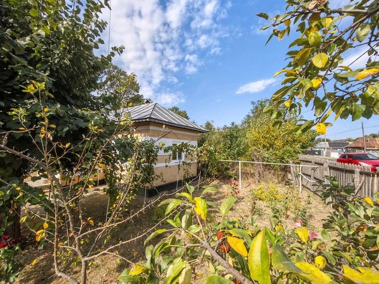 Casă cu 3 camere cu Teren 1264 Mp în Potcoava