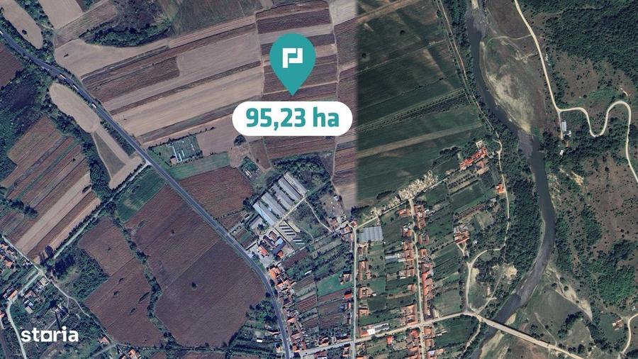Spațiu comercial, în Constantin Daicoviciu