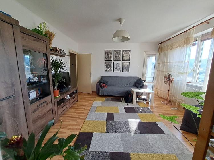 Apartament cu 2 camere semidecomandat, mobilat în Plopilor