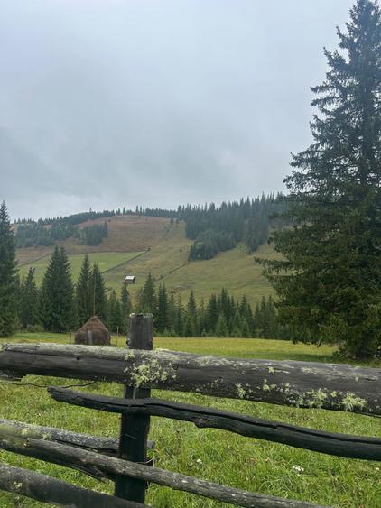Spațiu comercial, în Breaza