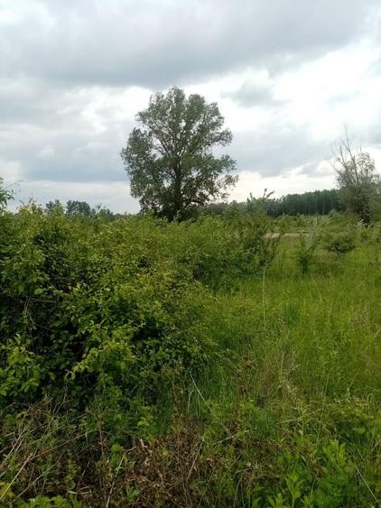 Teren Construcții intravilan de 3356 mp, în Răzvad