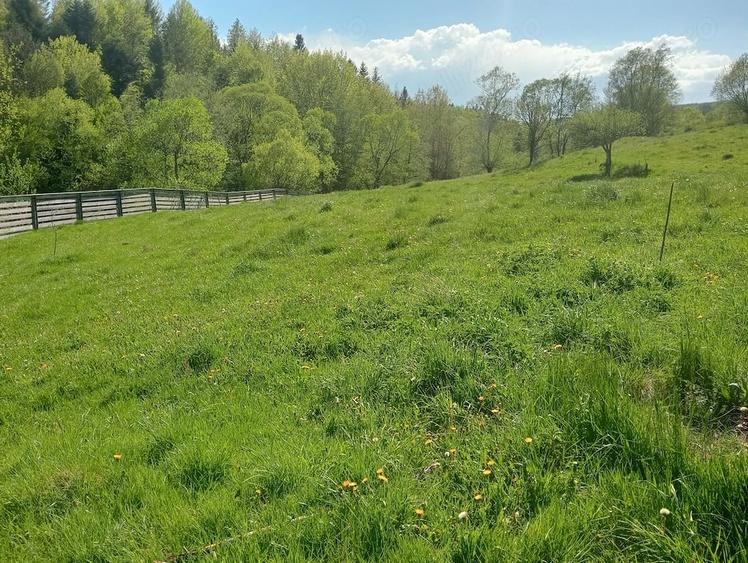 Teren de 1800 mp, în Varvata