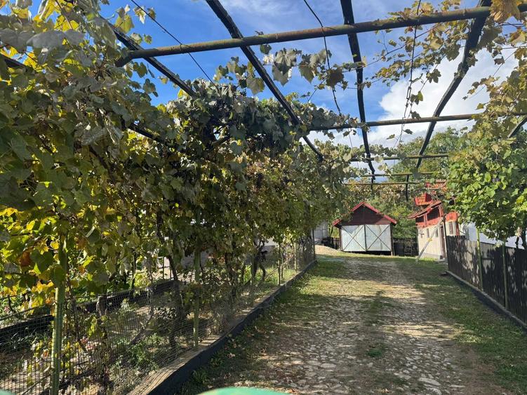 Proprietate cu Doua Case - 4
