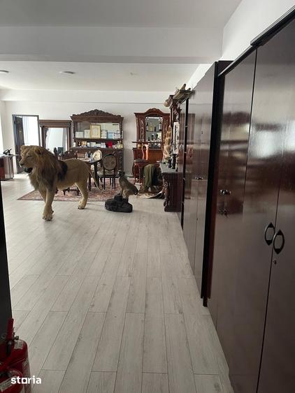 Spațiu comercial, de 144 mp, în Bucureștii Noi