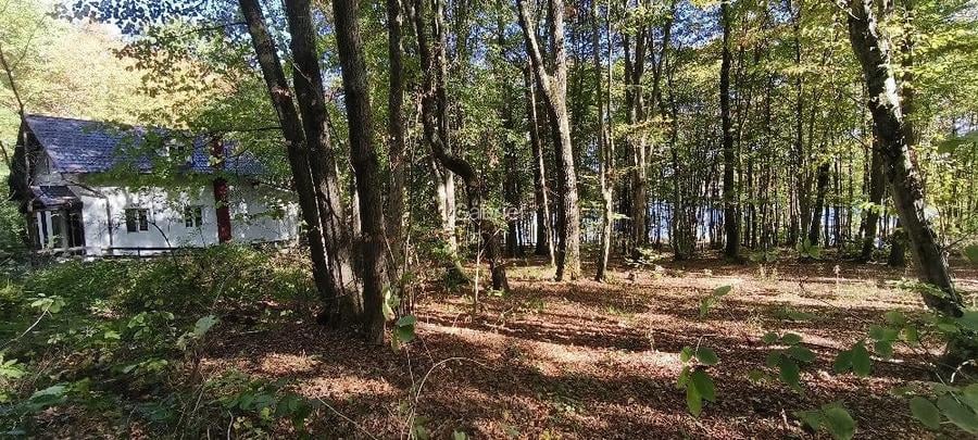 TEREN Intravilan 500-1000mp | Cadru natural deosebit | OCAZIE DE INVESTITIE