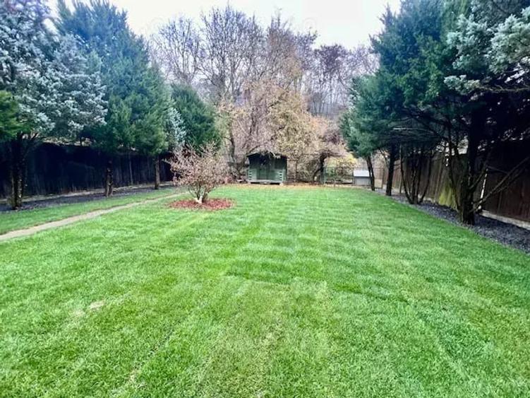 A 1607 De vanzare casa singur in curte in Tg Mure? - 7 Noiembrie - 7