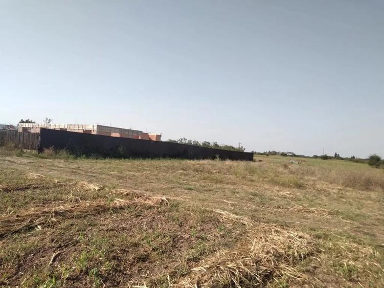 Teren de 1300 mp, în Clejani