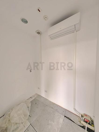 Birou, de 310 mp, în Armeneasca