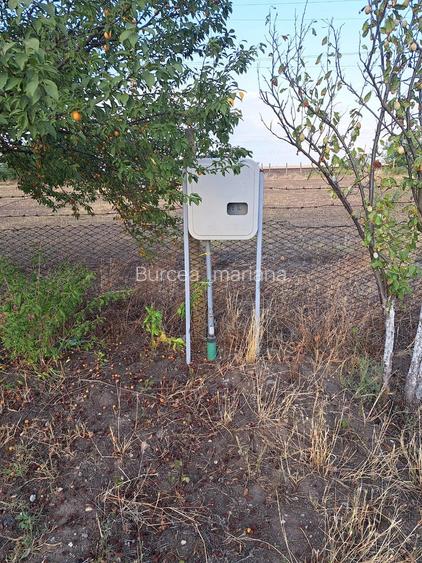 Teren intravilan de vanzare situat in sat Studini?a, comuna Studina, jude?ul Olt
