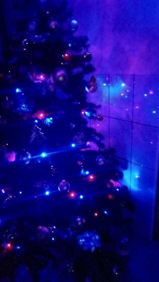 Casă individuală cu 4 camere cu Teren 2500 Mp în Pristol