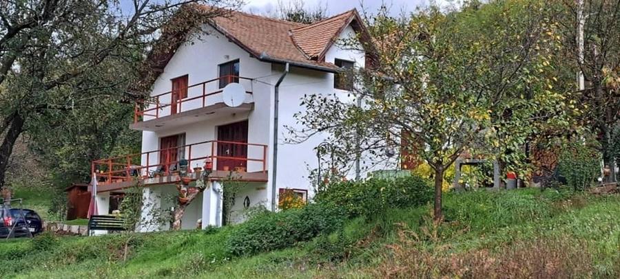 Casa cu gradina de vanzare - 10