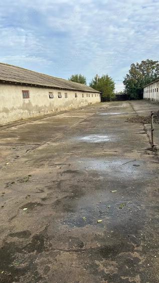 Teren de 5000 mp, în Central